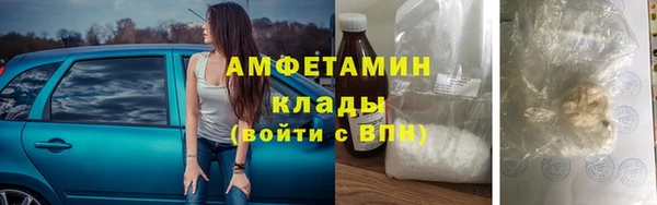 шишки Алзамай